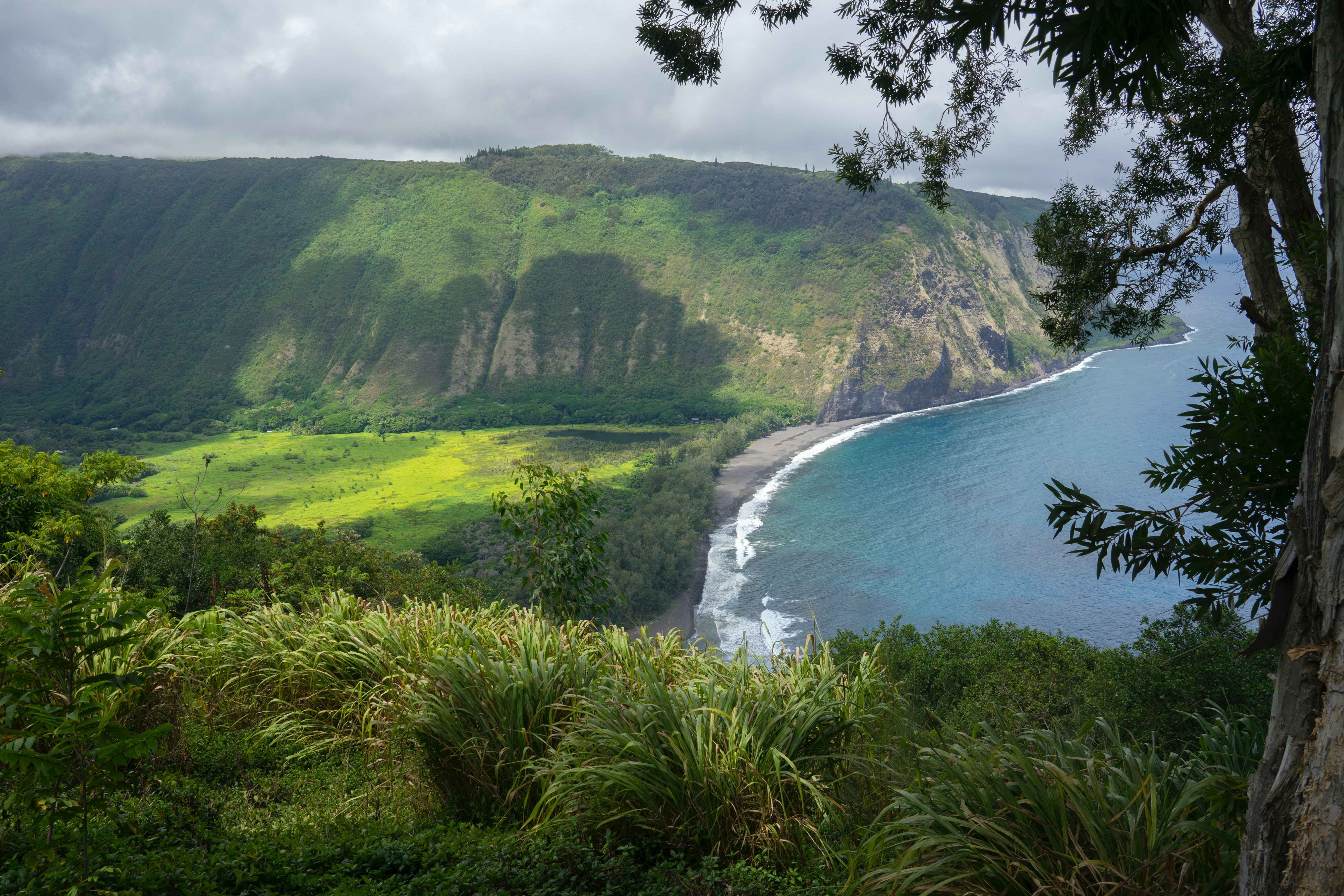 Big Island of Hawaii: A Volcanic Expedition