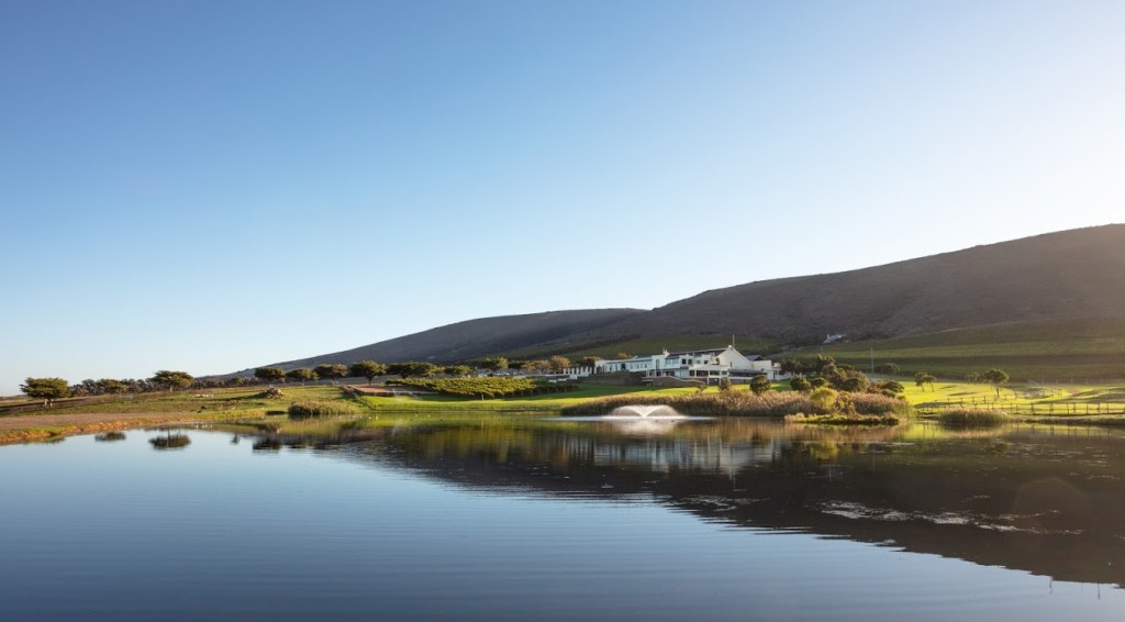 Exploring the vibrant wine estates of De Grendel