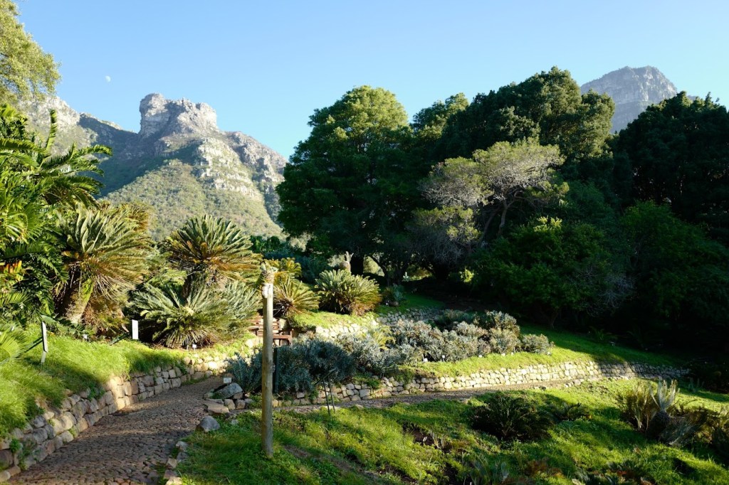 Kirstenbosch National Botanical Garden offered a serene escape from the hustle and bustle of the city