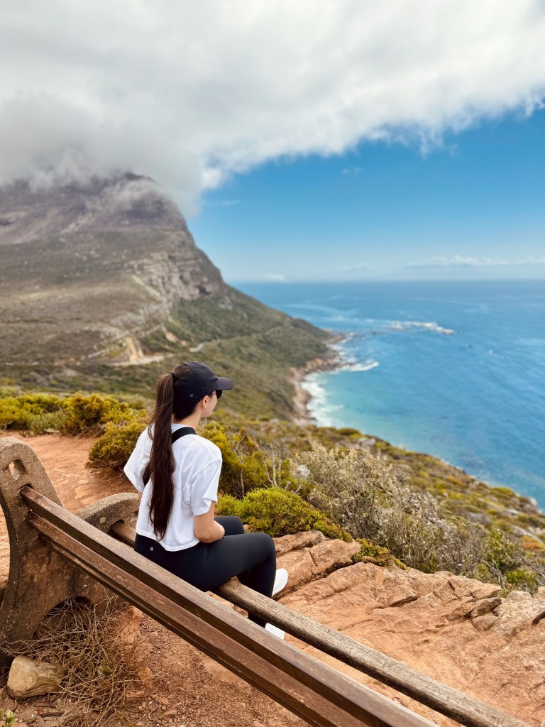 Cape Point National Park: Explore the diverse landscapes of this iconic national park, home to dramatic cliffs, pristine beaches, and endemic flora and fauna.