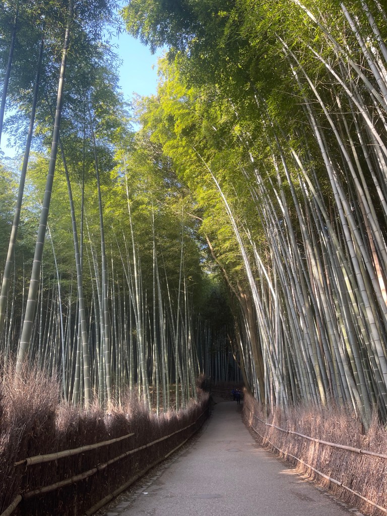 Arashiyama Bamboo Forest