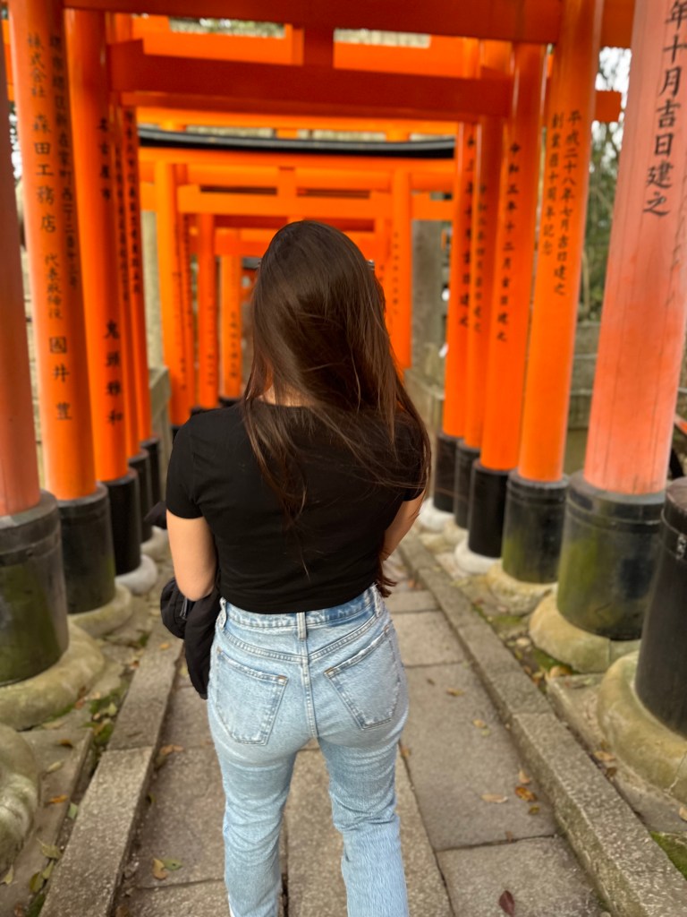 thousand vermilion torii gates of Fushimi Inari Taisha