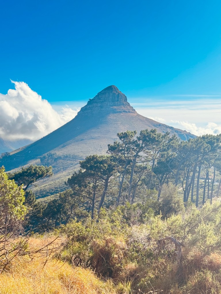 Hike Lion's Head: Experience the thrill of summiting this iconic peak and marvel at the breathtaking views of Cape Town and the Atlantic Ocean.